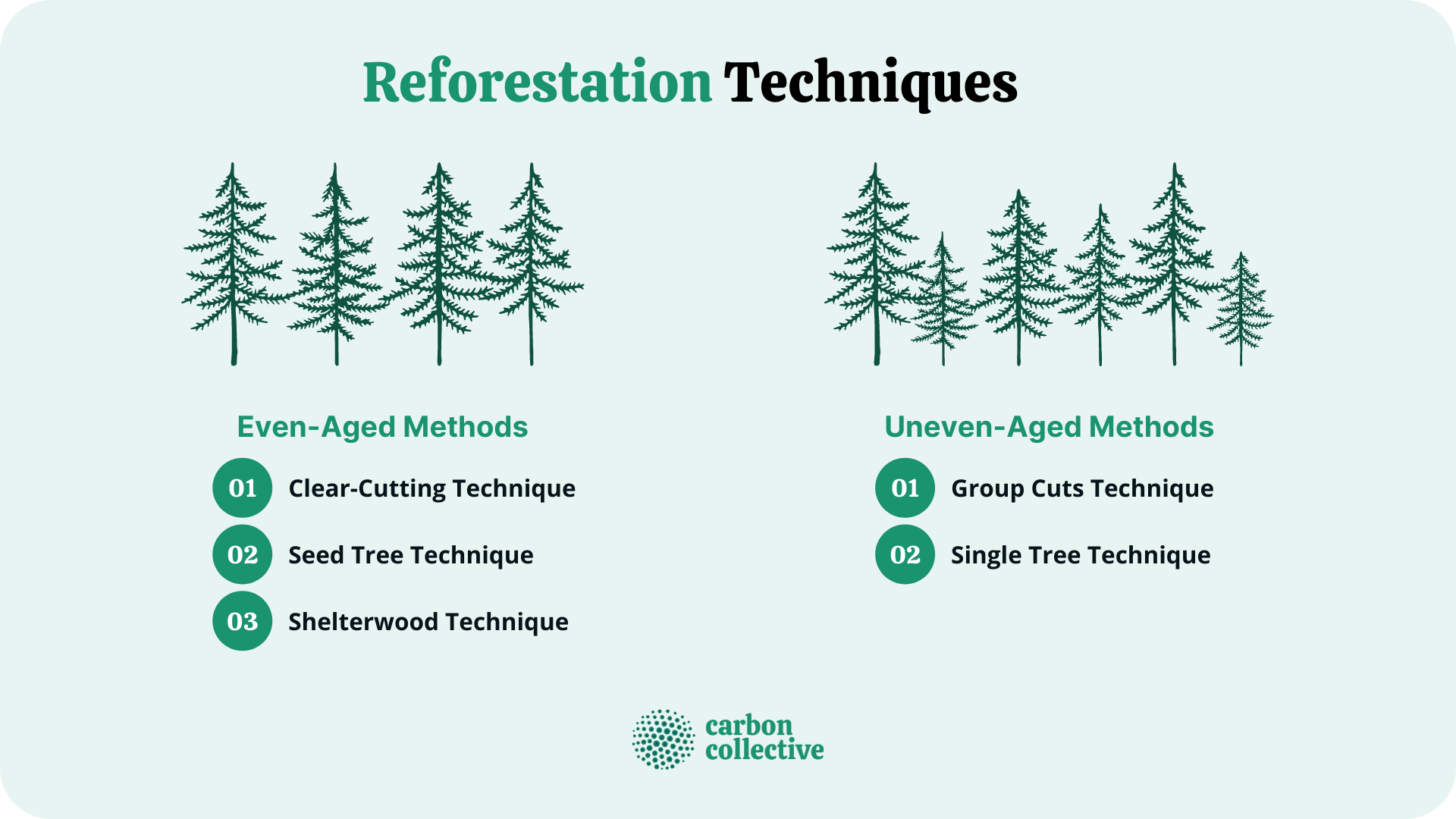 Reforestation_Techniques