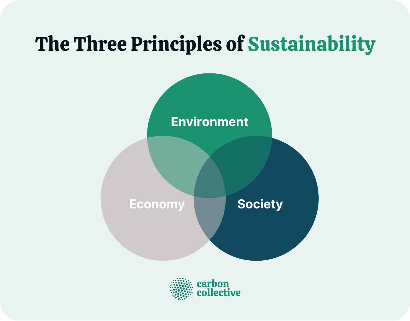 Sustainability - What Is It? Definition, Principles and Examples