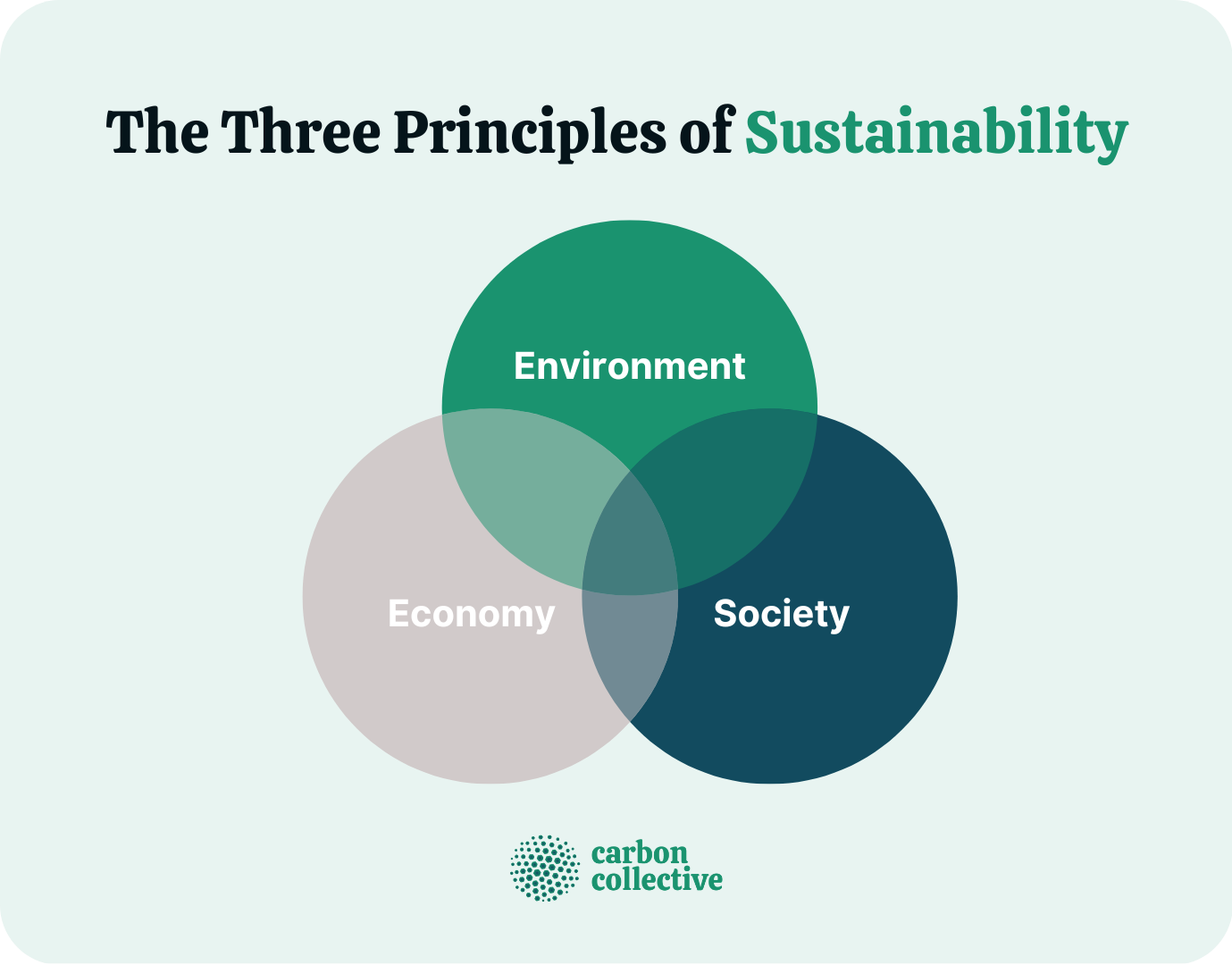 The_Three_Principles_of_Sustainability