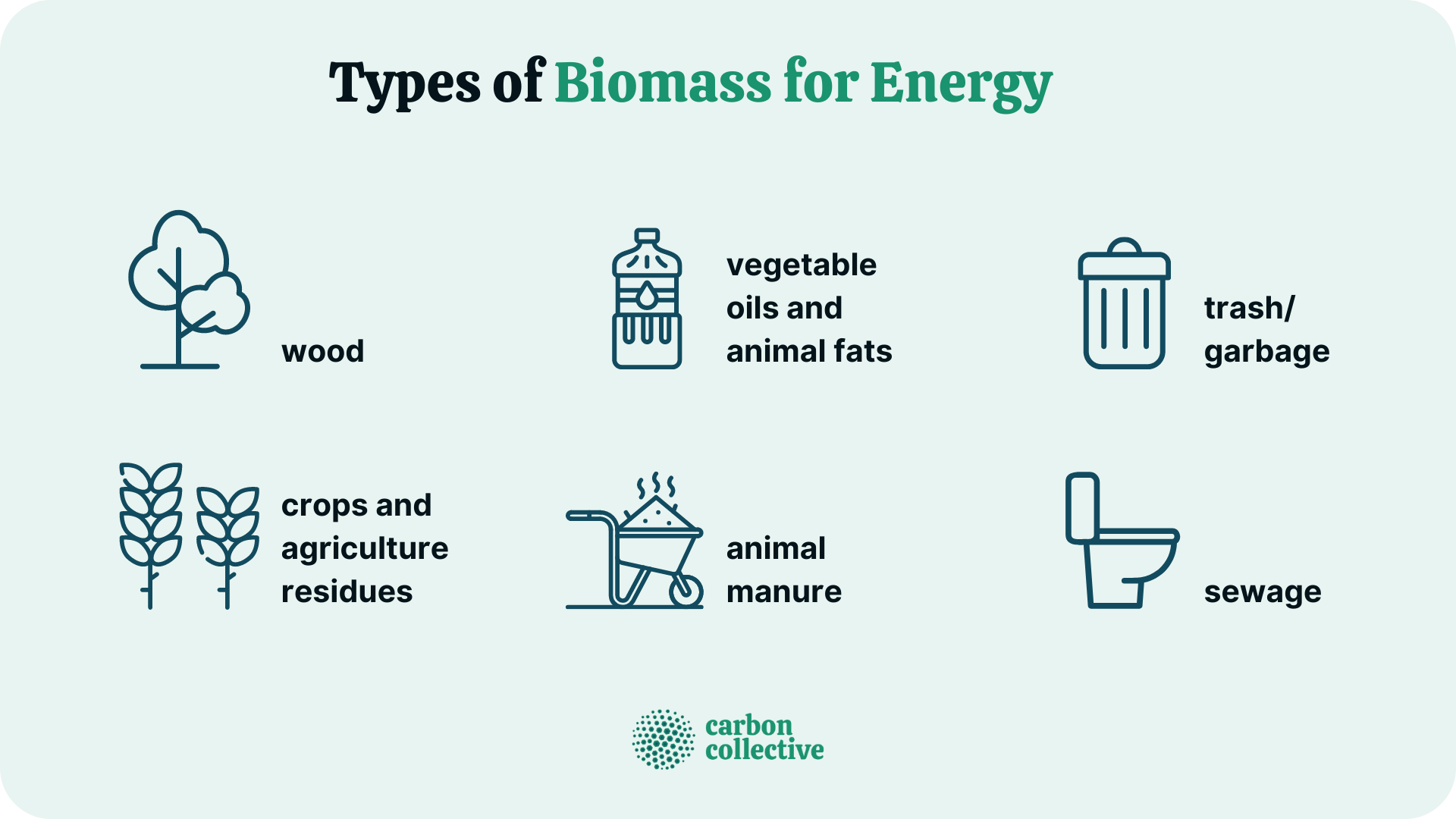 Types_of_Biomass_for_Energy