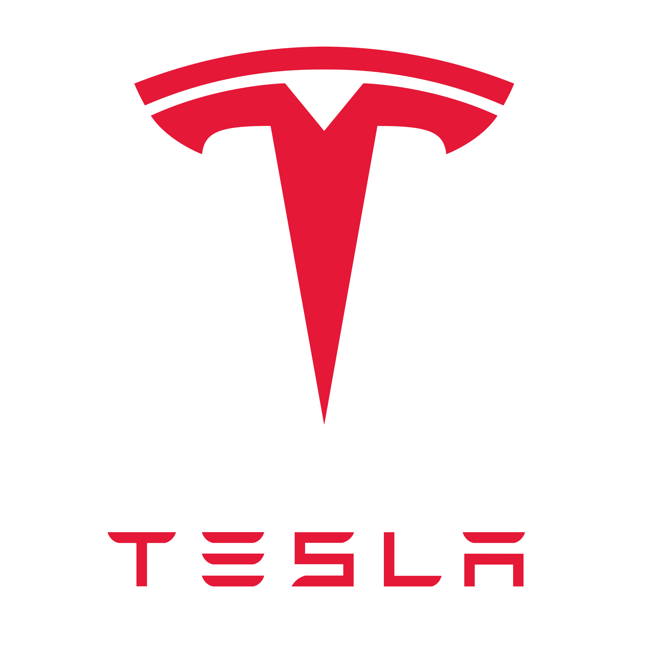 Tesla Motors, Inc. (TSLA)