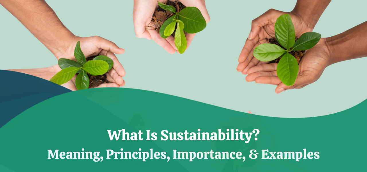 Sustainability - What Is It? Definition, Principles and Examples
