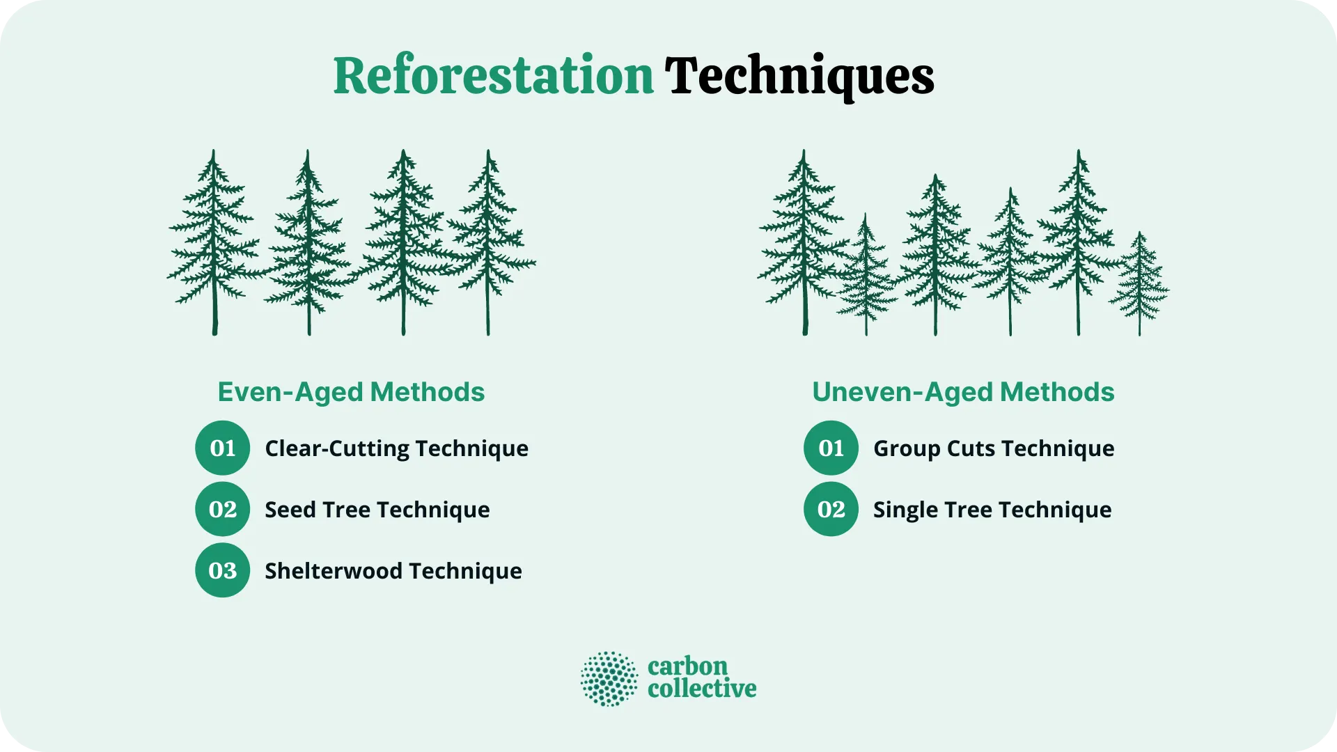 Reforestation_Techniques